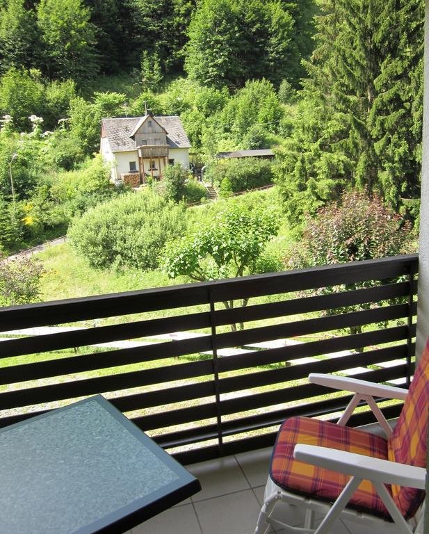 Gasthof Rodachtal Mit Gaestehaus Katharina Schwarzenbach am Wald Room photo